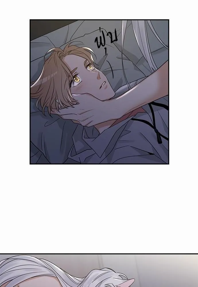 My One and Only Cat ตอนที่ 1220