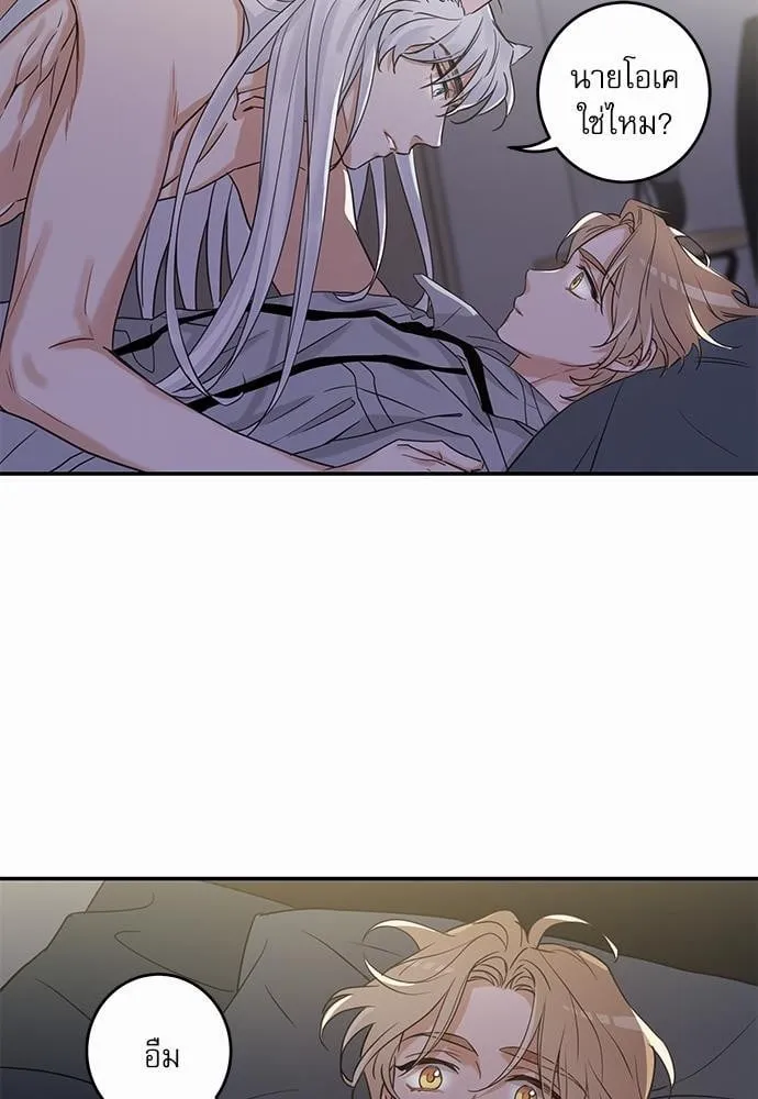 My One and Only Cat ตอนที่ 1221