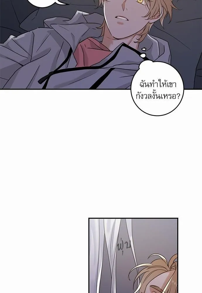 My One and Only Cat ตอนที่ 1222