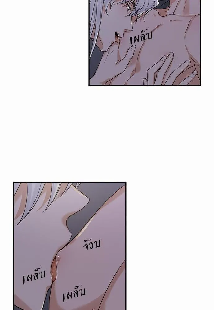 My One and Only Cat ตอนที่ 1228