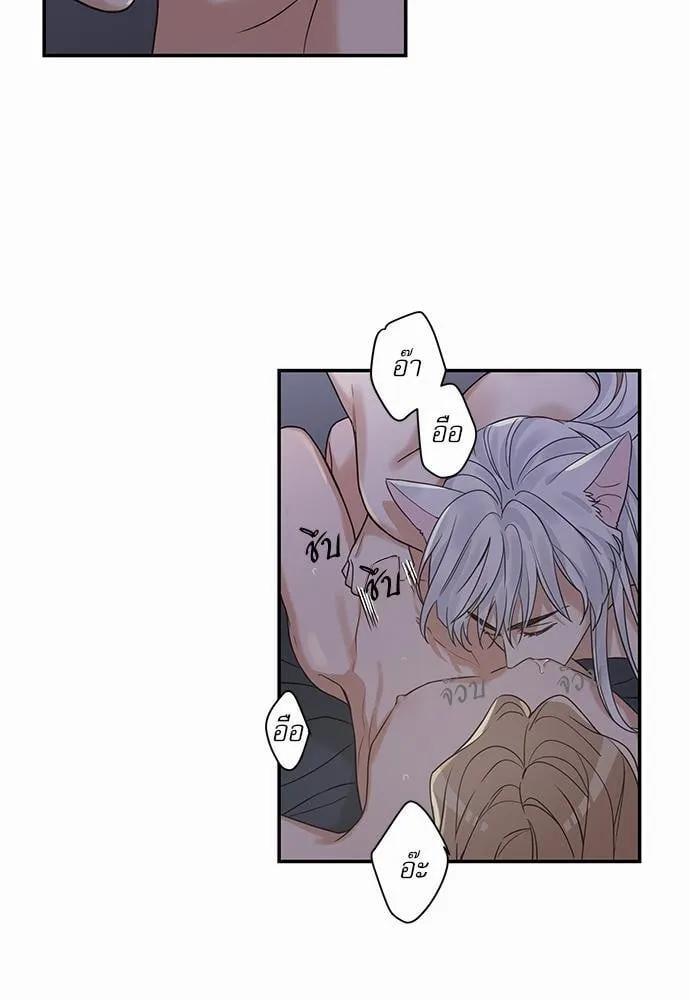 My One and Only Cat ตอนที่ 1229