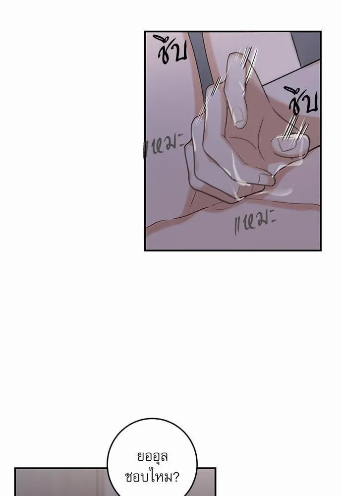 My One and Only Cat ตอนที่ 1231