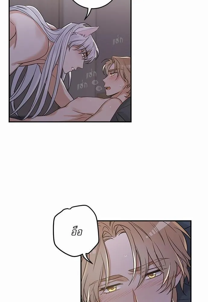 My One and Only Cat ตอนที่ 1232