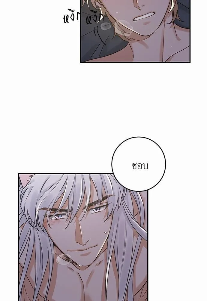 My One and Only Cat ตอนที่ 1233