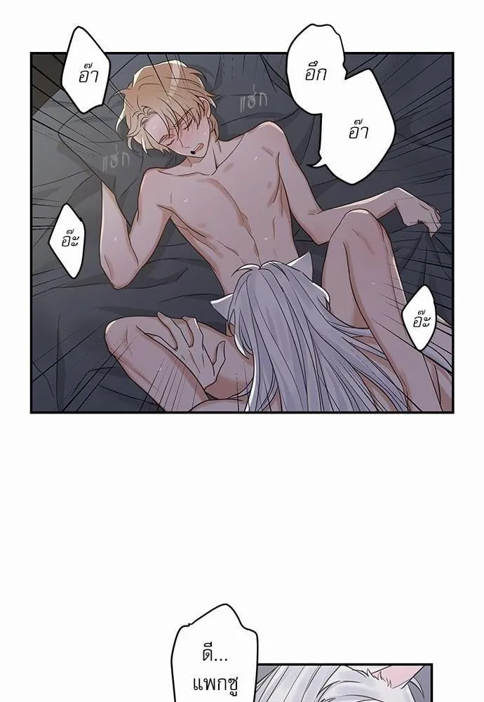 My One and Only Cat ตอนที่ 1236