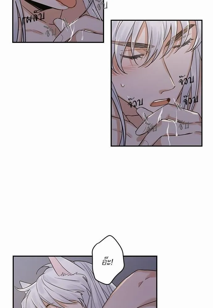 My One and Only Cat ตอนที่ 1238