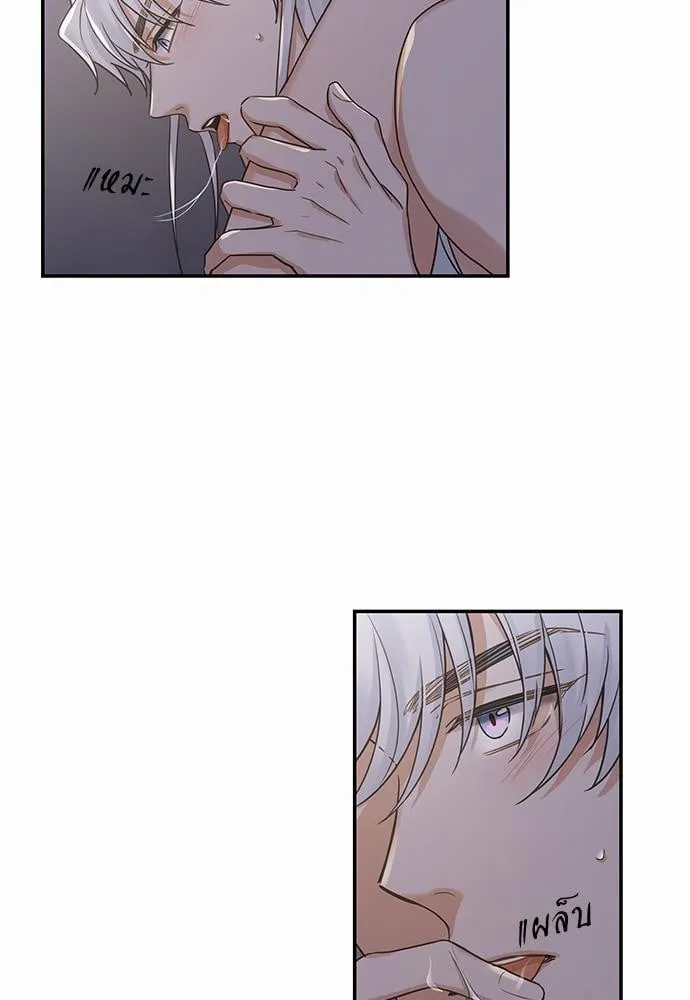 My One and Only Cat ตอนที่ 1239