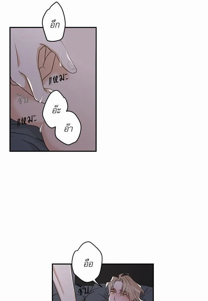 My One and Only Cat ตอนที่ 1241