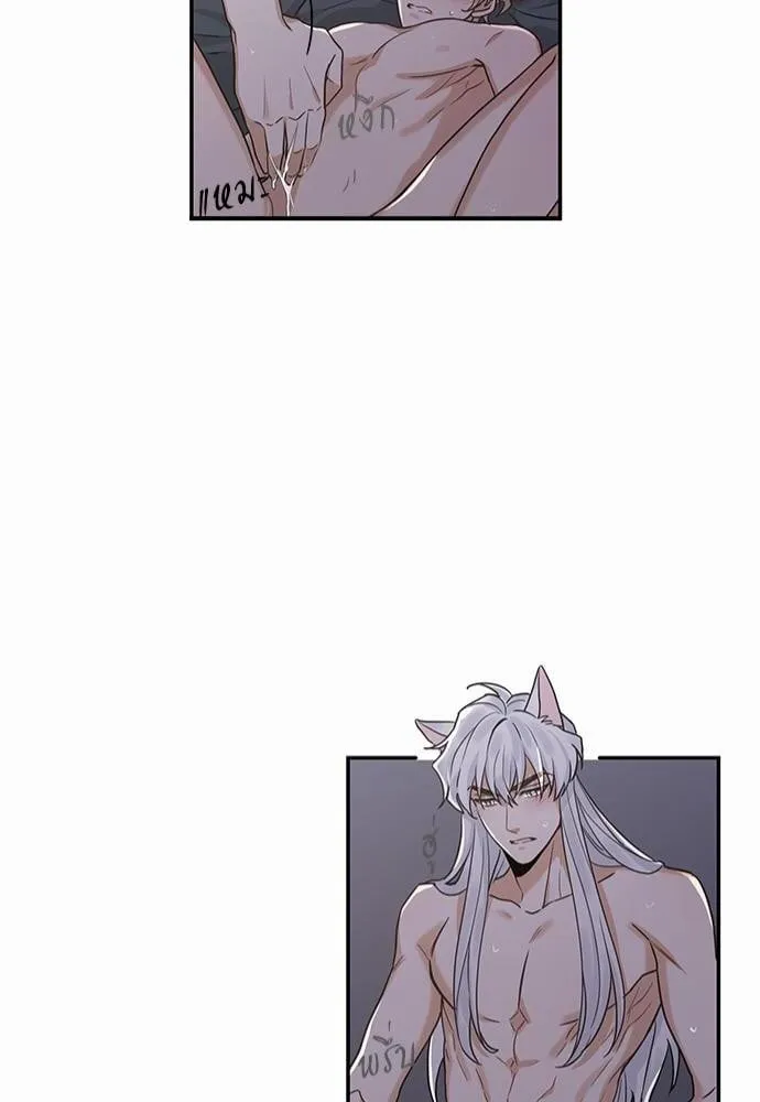 My One and Only Cat ตอนที่ 1242