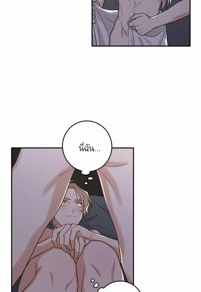 My One and Only Cat ตอนที่ 1243