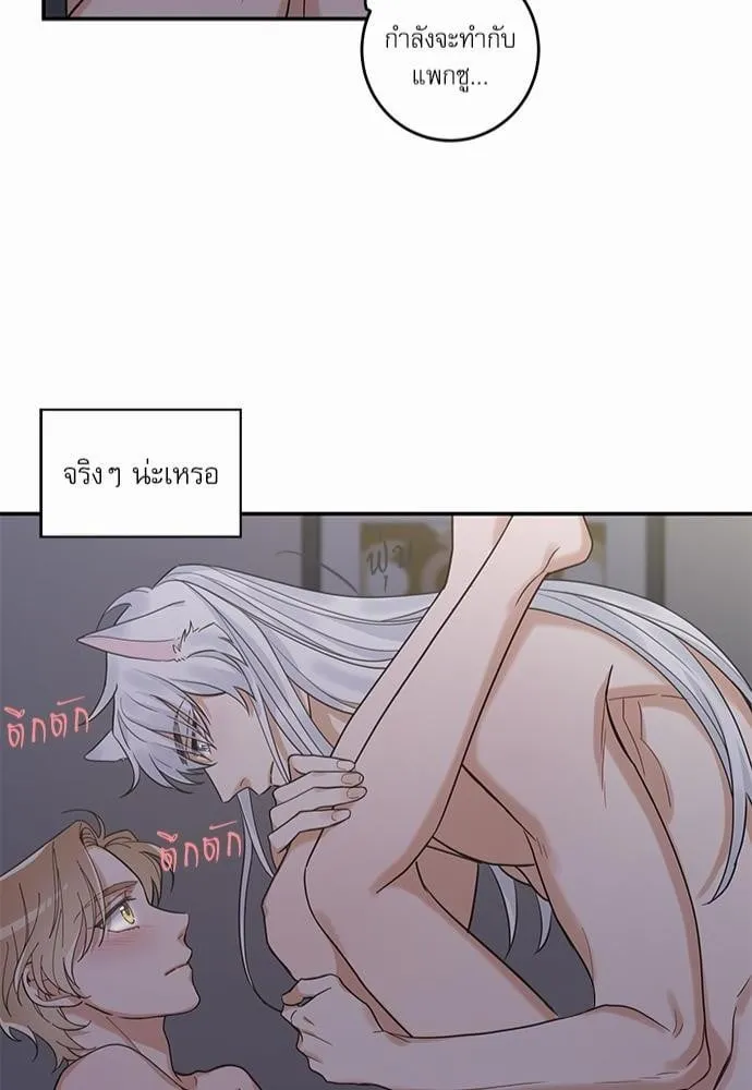 My One and Only Cat ตอนที่ 1244