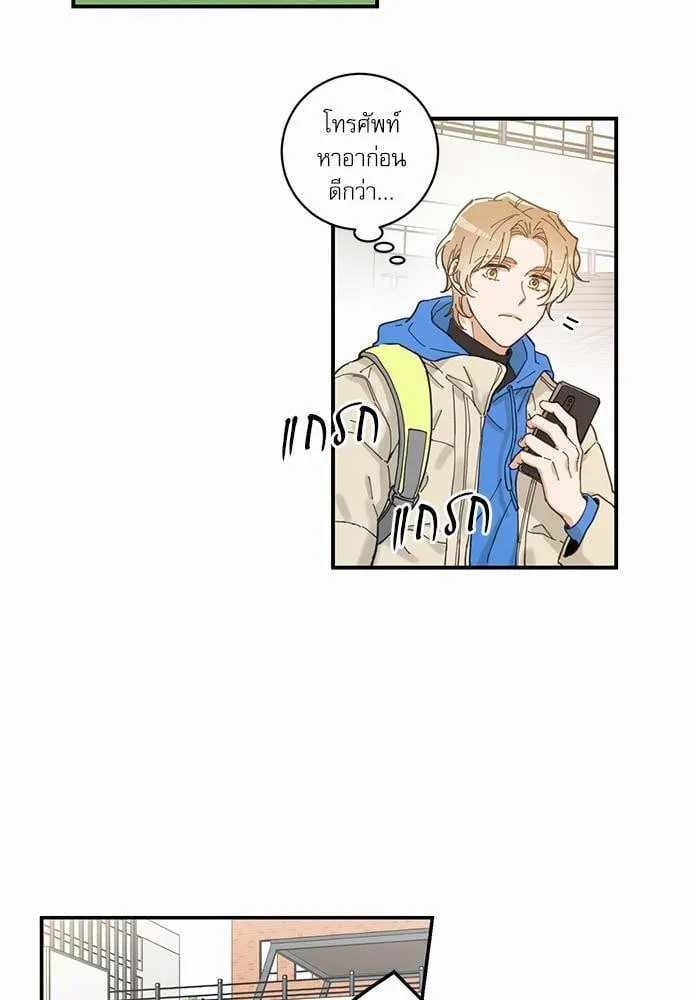 My One and Only Cat ตอนที่ 125 My One and Only Cat ตอนที่ 125