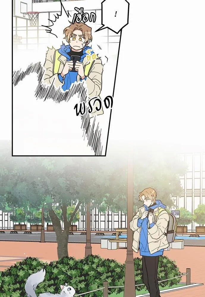 My One and Only Cat ตอนที่ 126 My One and Only Cat ตอนที่ 126