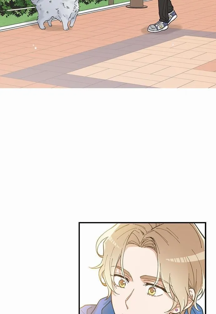 My One and Only Cat ตอนที่ 127 My One and Only Cat ตอนที่ 127