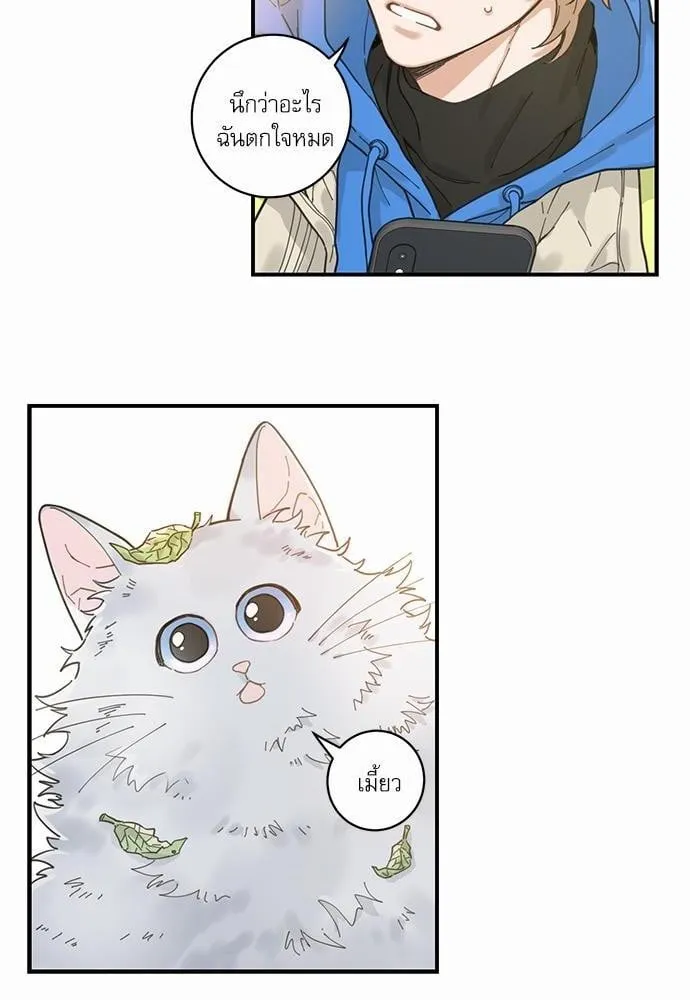 My One and Only Cat ตอนที่ 128 My One and Only Cat ตอนที่ 128