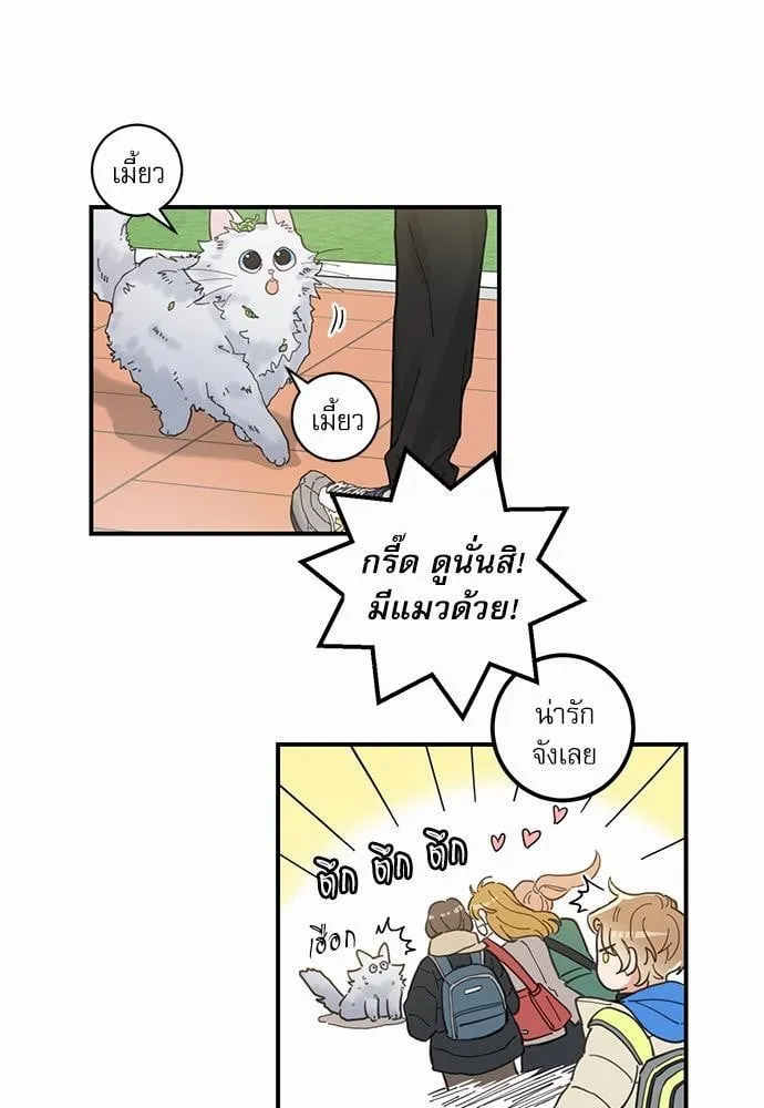 My One and Only Cat ตอนที่ 129 My One and Only Cat ตอนที่ 129