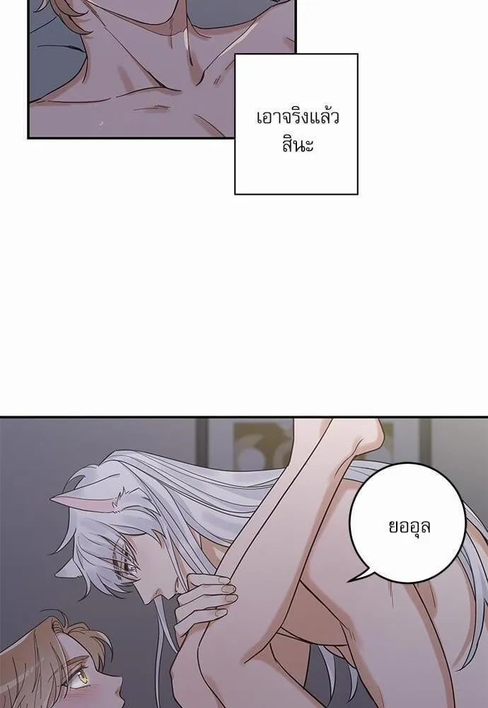 My One and Only Cat ตอนที่ 1302