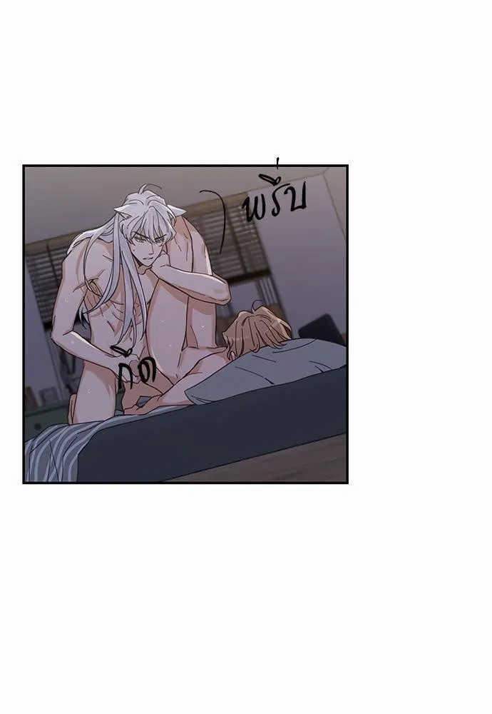 My One and Only Cat ตอนที่ 1305