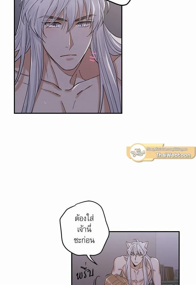 My One and Only Cat ตอนที่ 1307