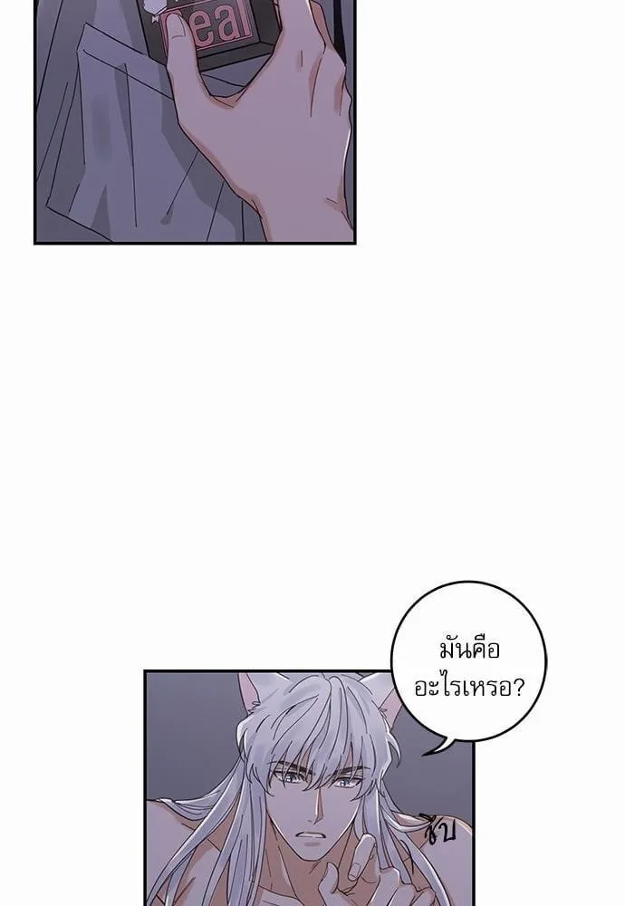 My One and Only Cat ตอนที่ 1309