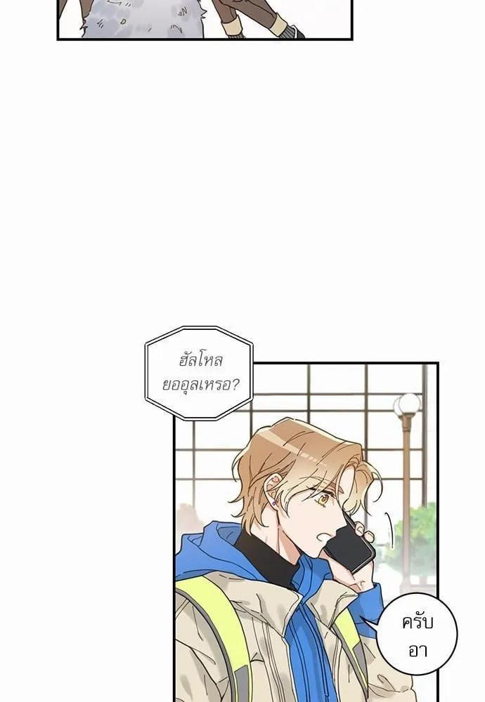 My One and Only Cat ตอนที่ 131 My One and Only Cat ตอนที่ 131