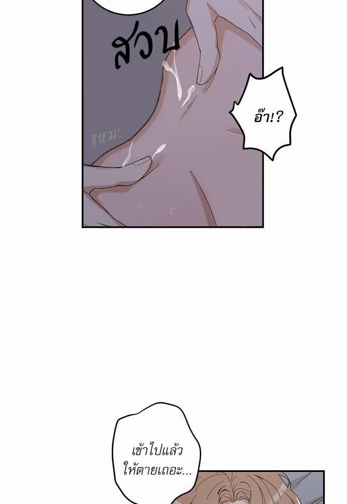 My One and Only Cat ตอนที่ 1314