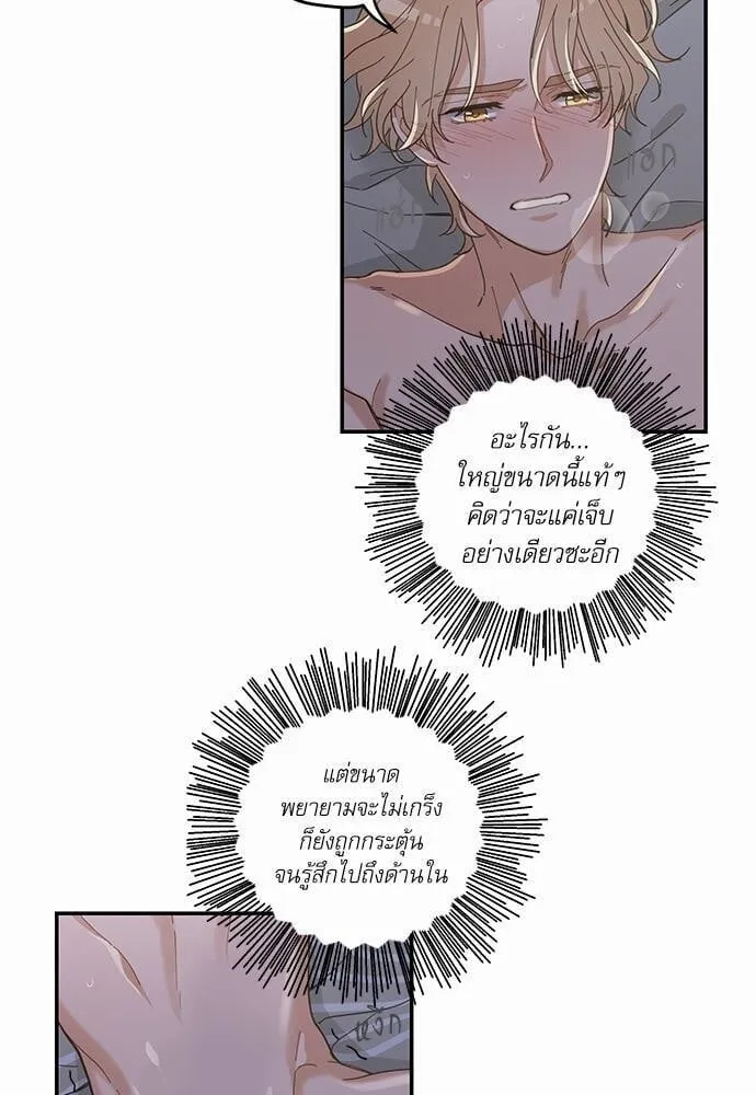 My One and Only Cat ตอนที่ 1315