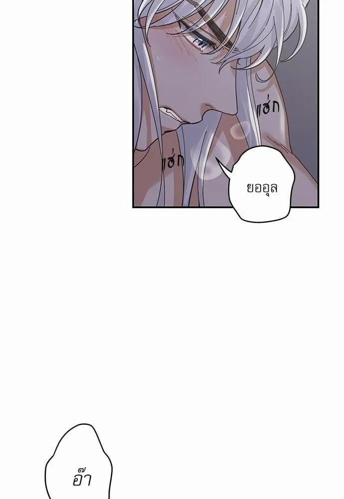 My One and Only Cat ตอนที่ 1318