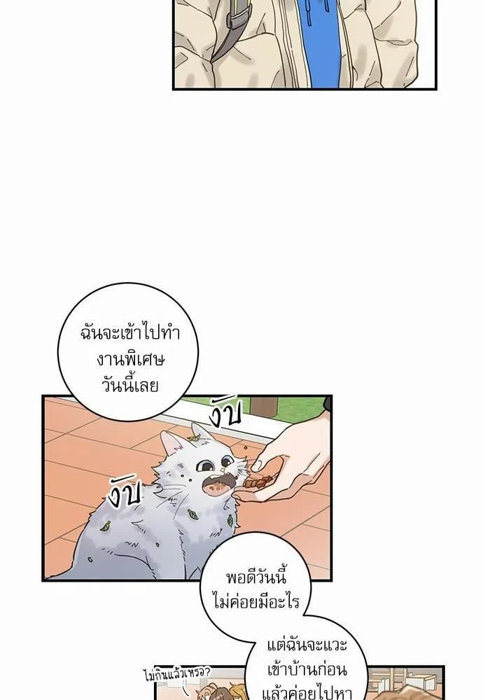 My One and Only Cat ตอนที่ 132 My One and Only Cat ตอนที่ 132