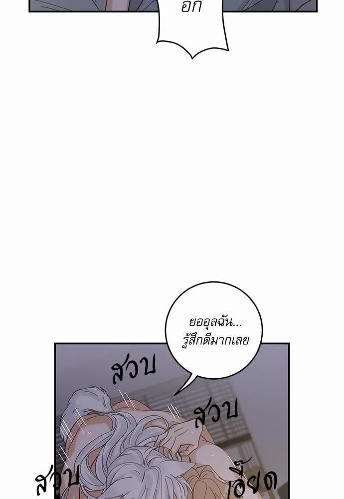 My One and Only Cat ตอนที่ 1320