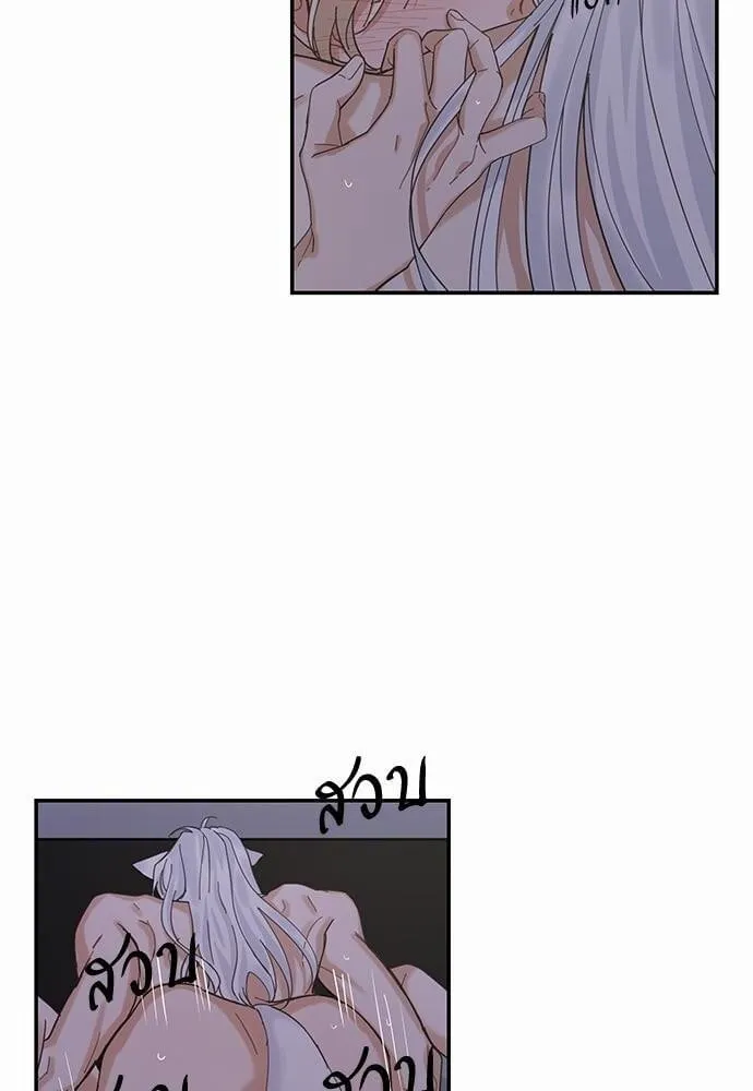 My One and Only Cat ตอนที่ 1322