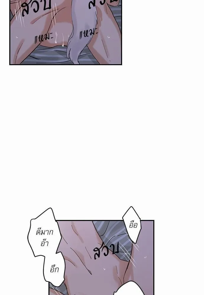 My One and Only Cat ตอนที่ 1323