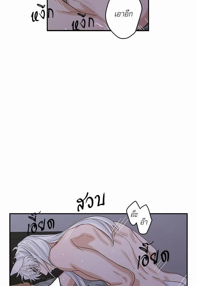 My One and Only Cat ตอนที่ 1324