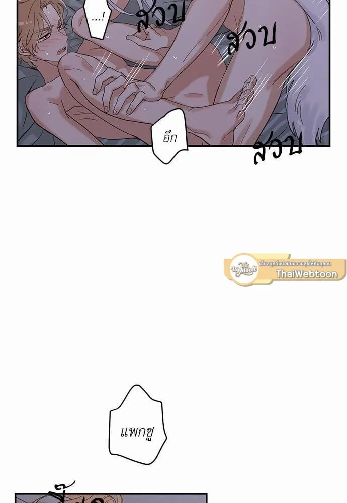 My One and Only Cat ตอนที่ 1325