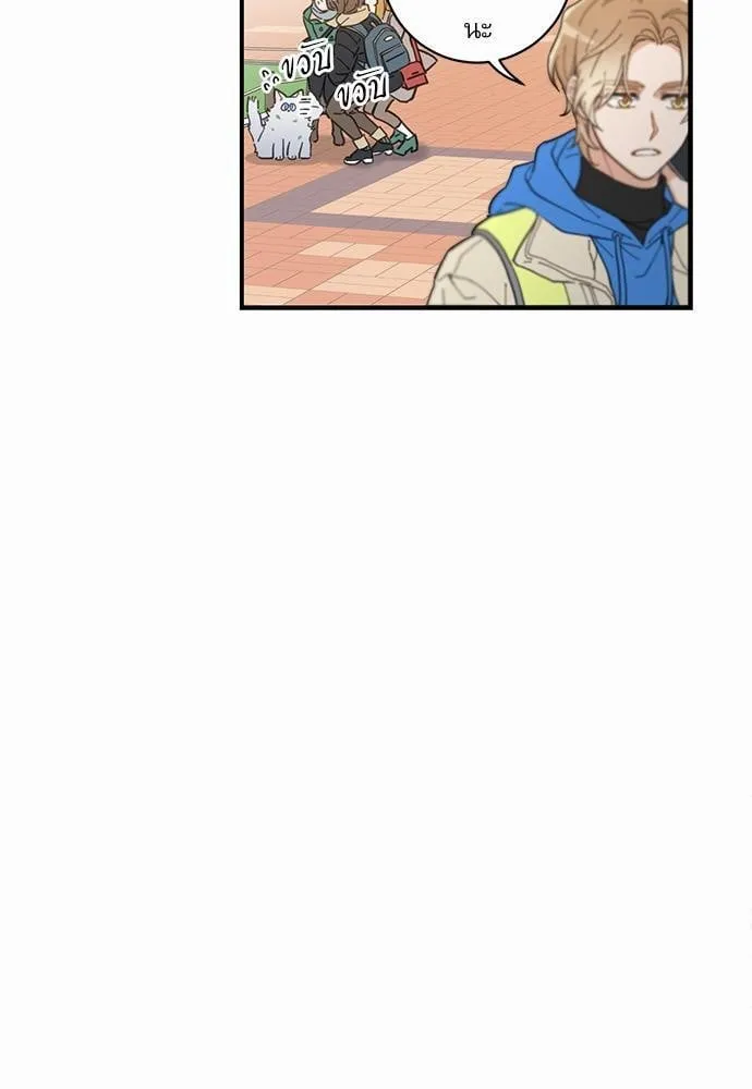 My One and Only Cat ตอนที่ 133 My One and Only Cat ตอนที่ 133