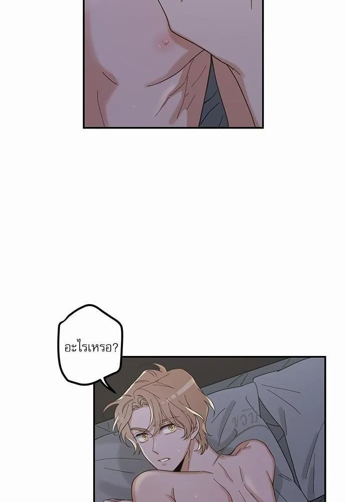 My One and Only Cat ตอนที่ 1332