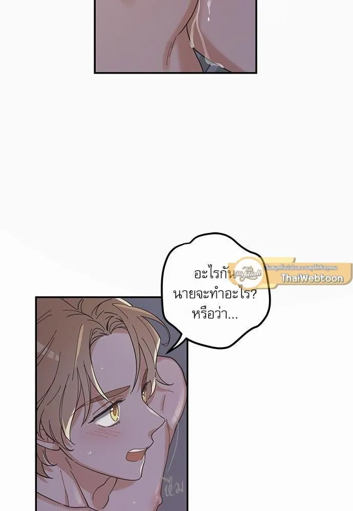 My One and Only Cat ตอนที่ 1334