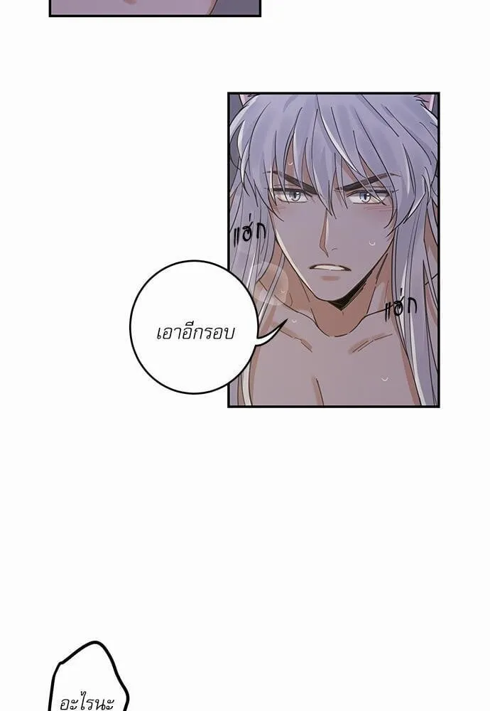 My One and Only Cat ตอนที่ 1335