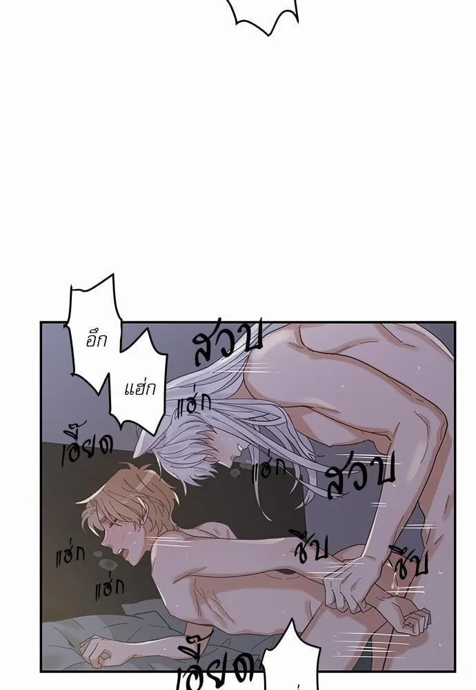 My One and Only Cat ตอนที่ 1338