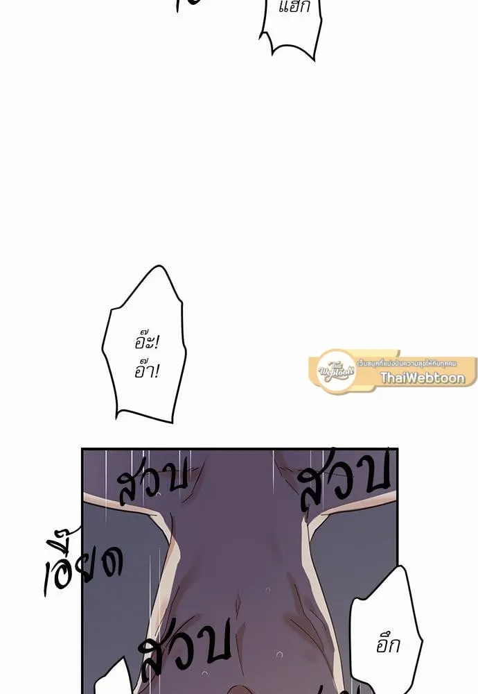 My One and Only Cat ตอนที่ 1339