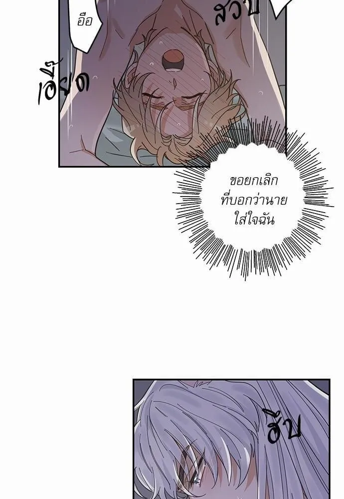 My One and Only Cat ตอนที่ 1340