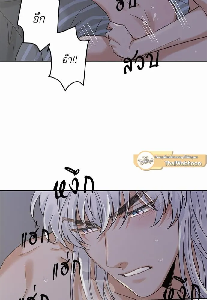 My One and Only Cat ตอนที่ 1343