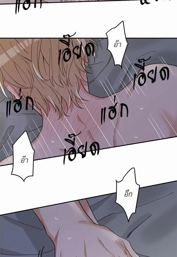 My One and Only Cat ตอนที่ 1344