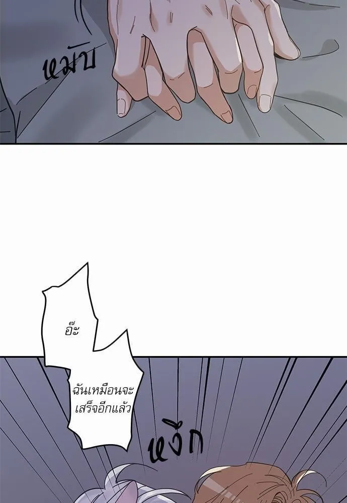 My One and Only Cat ตอนที่ 1345