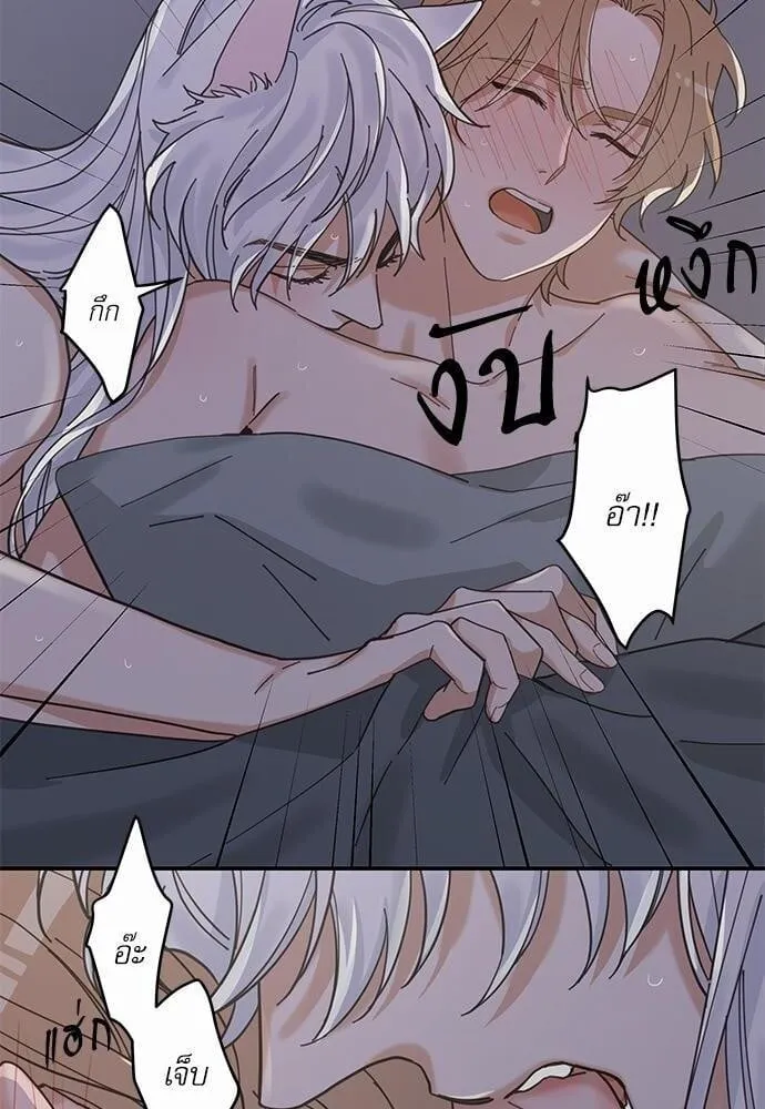 My One and Only Cat ตอนที่ 1346