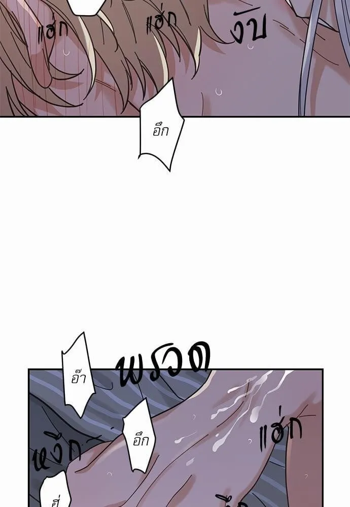 My One and Only Cat ตอนที่ 1347