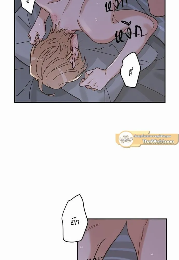 My One and Only Cat ตอนที่ 1348