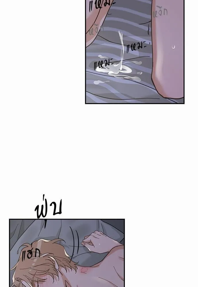 My One and Only Cat ตอนที่ 1349