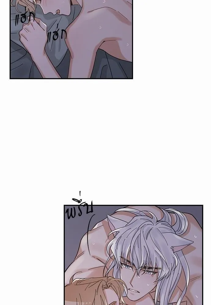 My One and Only Cat ตอนที่ 1350