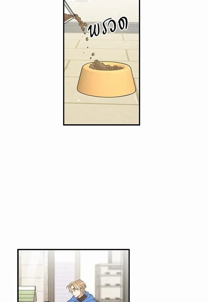 My One and Only Cat ตอนที่ 137 My One and Only Cat ตอนที่ 137